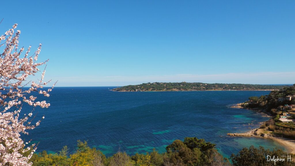 La baie du Golfe de St Tropez