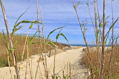 EN direction des plages de Pampelonne