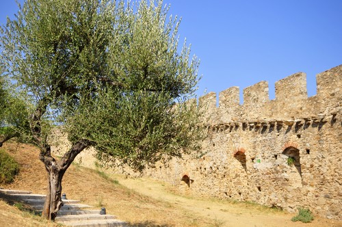 Le château de Grimaud